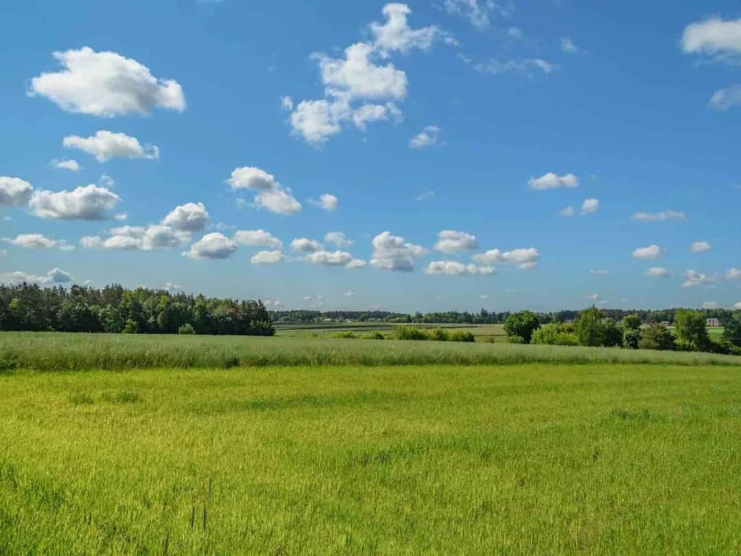 Co można postawić na działce rolnej bez zgłoszenia? Oto kluczowe informacje