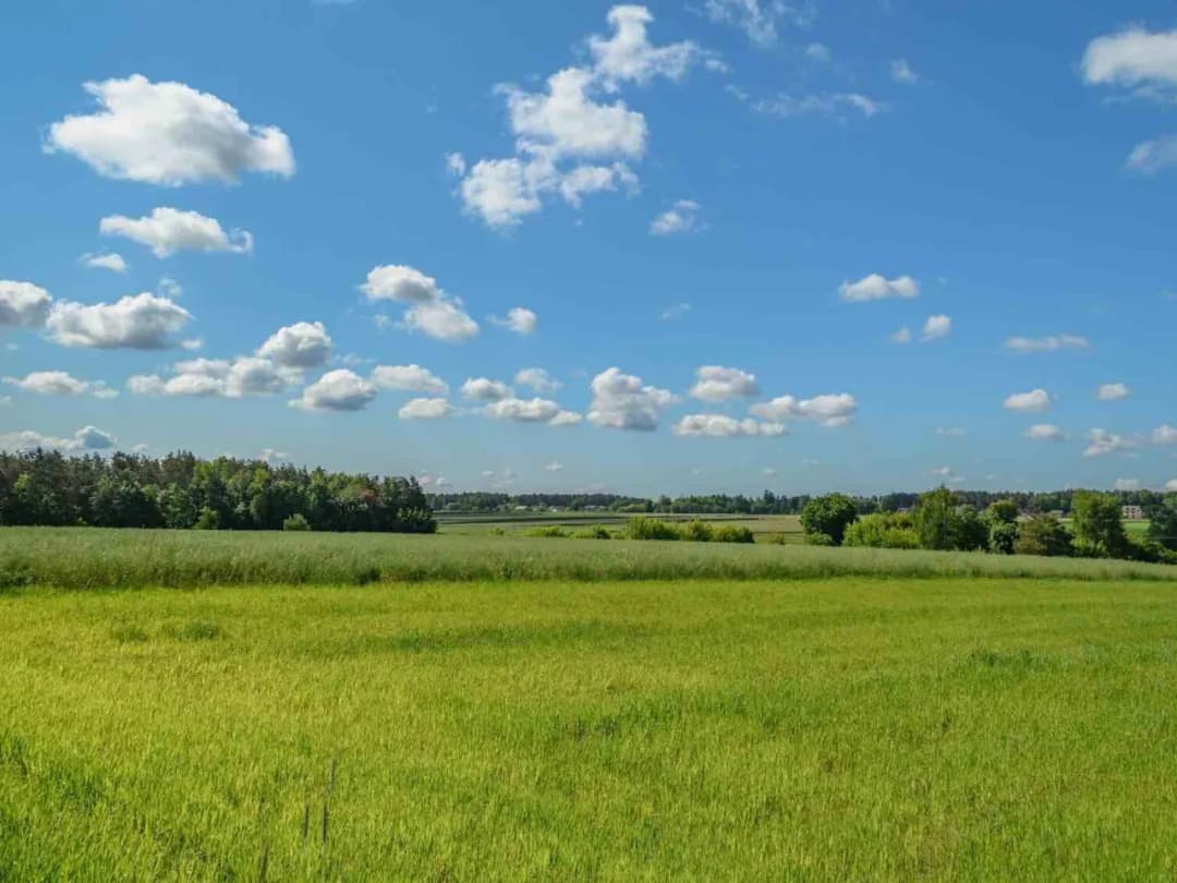 Co można postawić na działce rolnej bez zgłoszenia? Oto kluczowe informacje