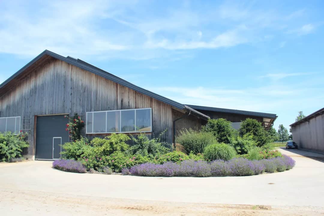 Czy rolnik płaci podatek od nieruchomości? Ulg i zwolnienia, które warto znać