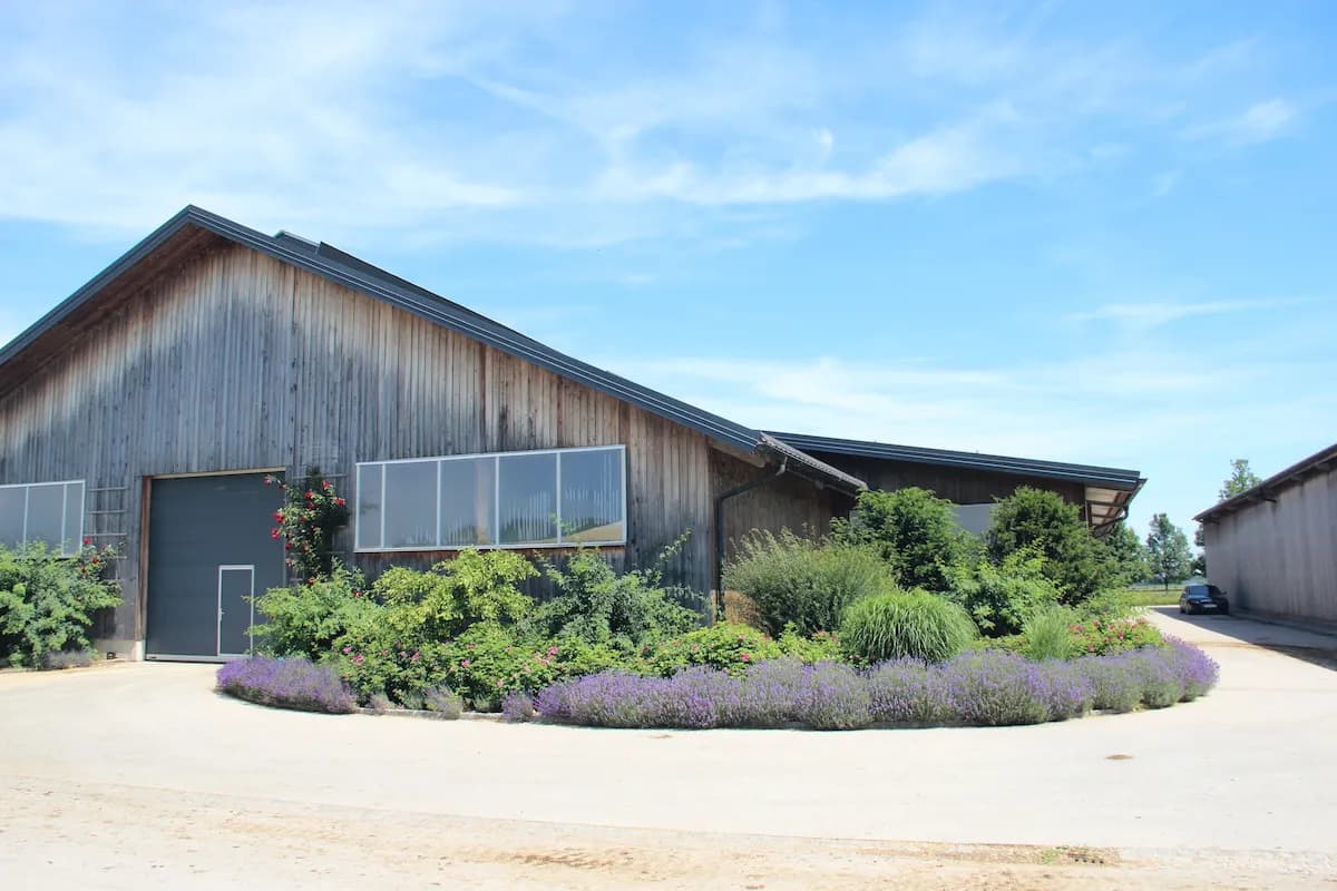 Czy rolnik płaci podatek od nieruchomości? Ulg i zwolnienia, które warto znać