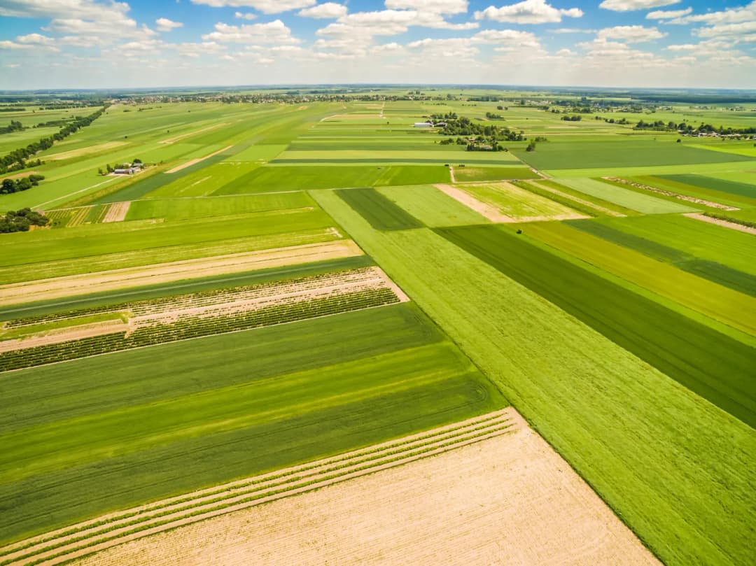 Jak wyszukać działkę po numerze geoportal i uniknąć błędów w poszukiwaniach