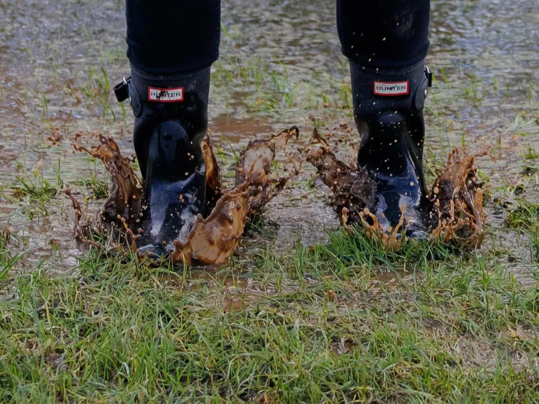 Jak osuszyć działkę? Skuteczne metody na pozbycie się wody