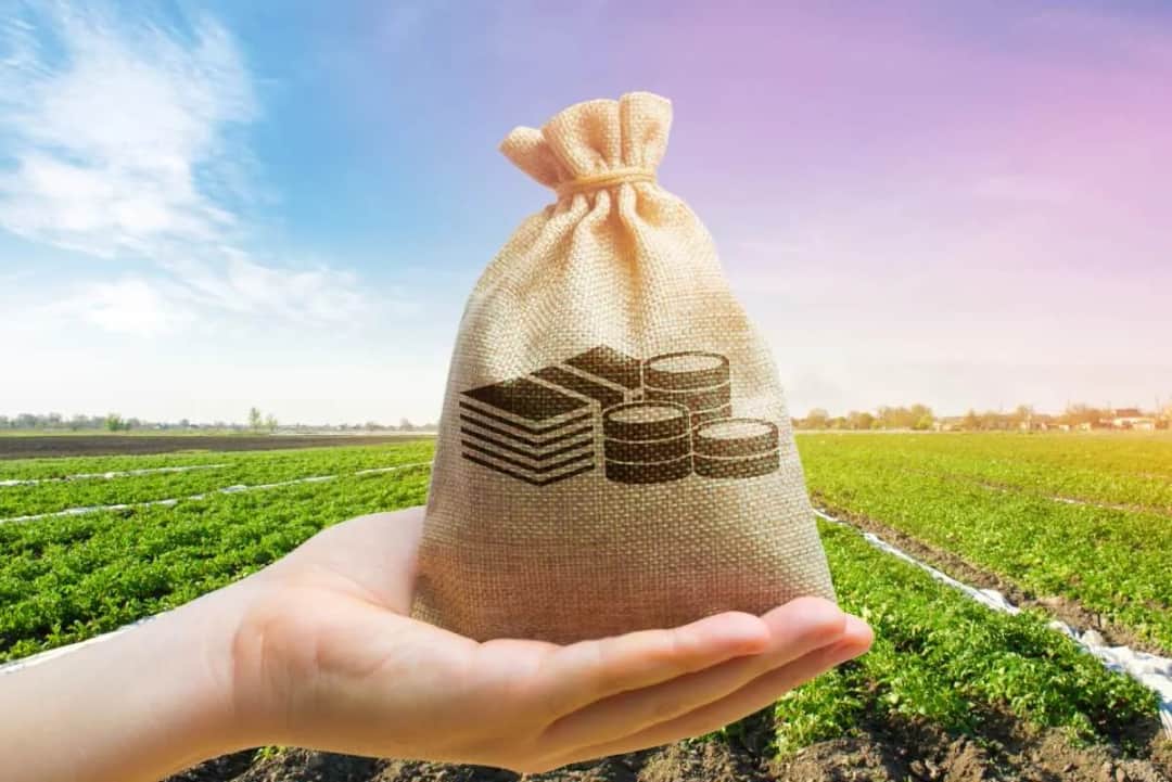 Ile trzeba mieć ziemi, żeby nie płacić podatku od nieruchomości? Dowiedz się!